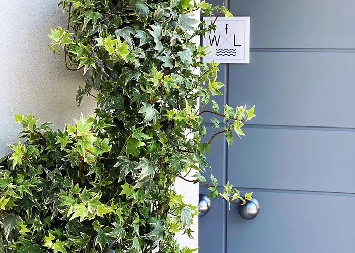 Fwl Italian Romance On The *